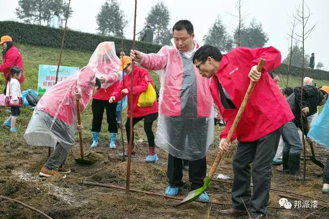【明邦化工】3月12日牽手 “綠城飛花 美哉倫教”植樹節